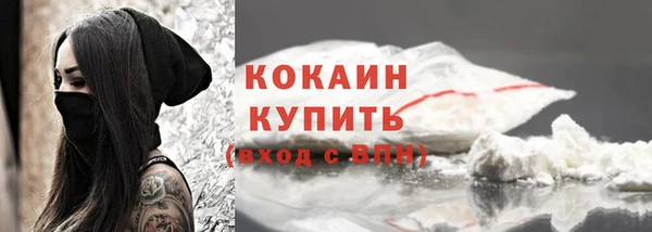 хмурый Карпинск