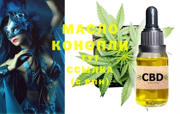 мдпв Каменногорск
