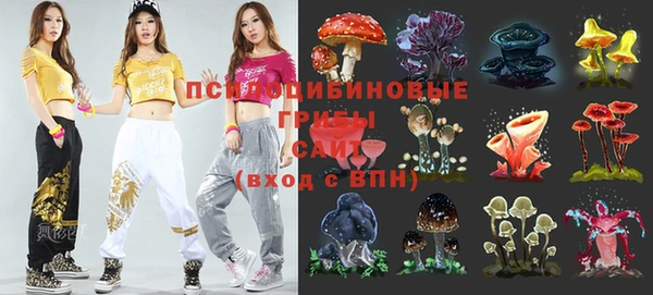 крисы Киреевск